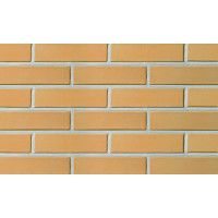Фасадный кирпич пустотелый Lode Dzintra, 250x85x65 темно-желтый